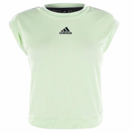 توزیع کنندگان تیشرت سبز زنانه ورزشی